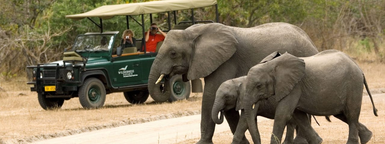 Malawi Wildlife Safari